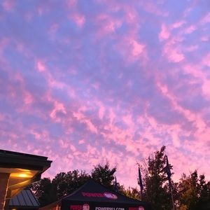 Meet your Posher, Stella